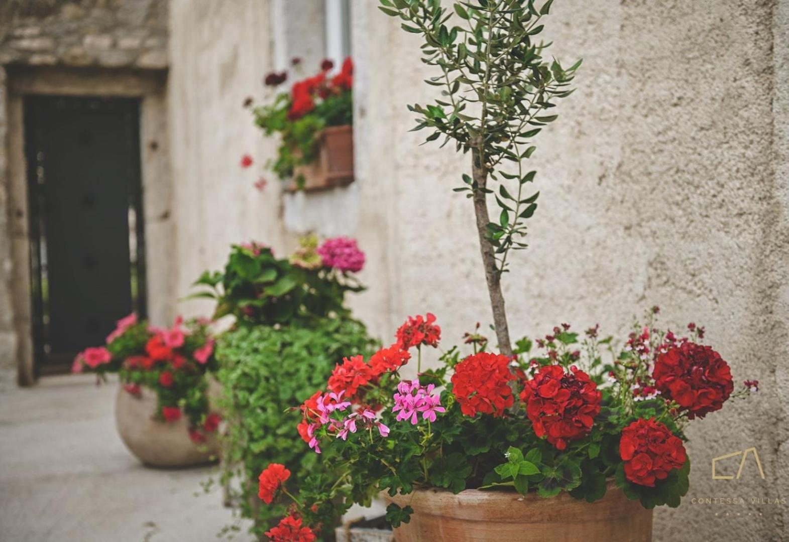 Galija Luxury Suites Krk Town Buitenkant foto
