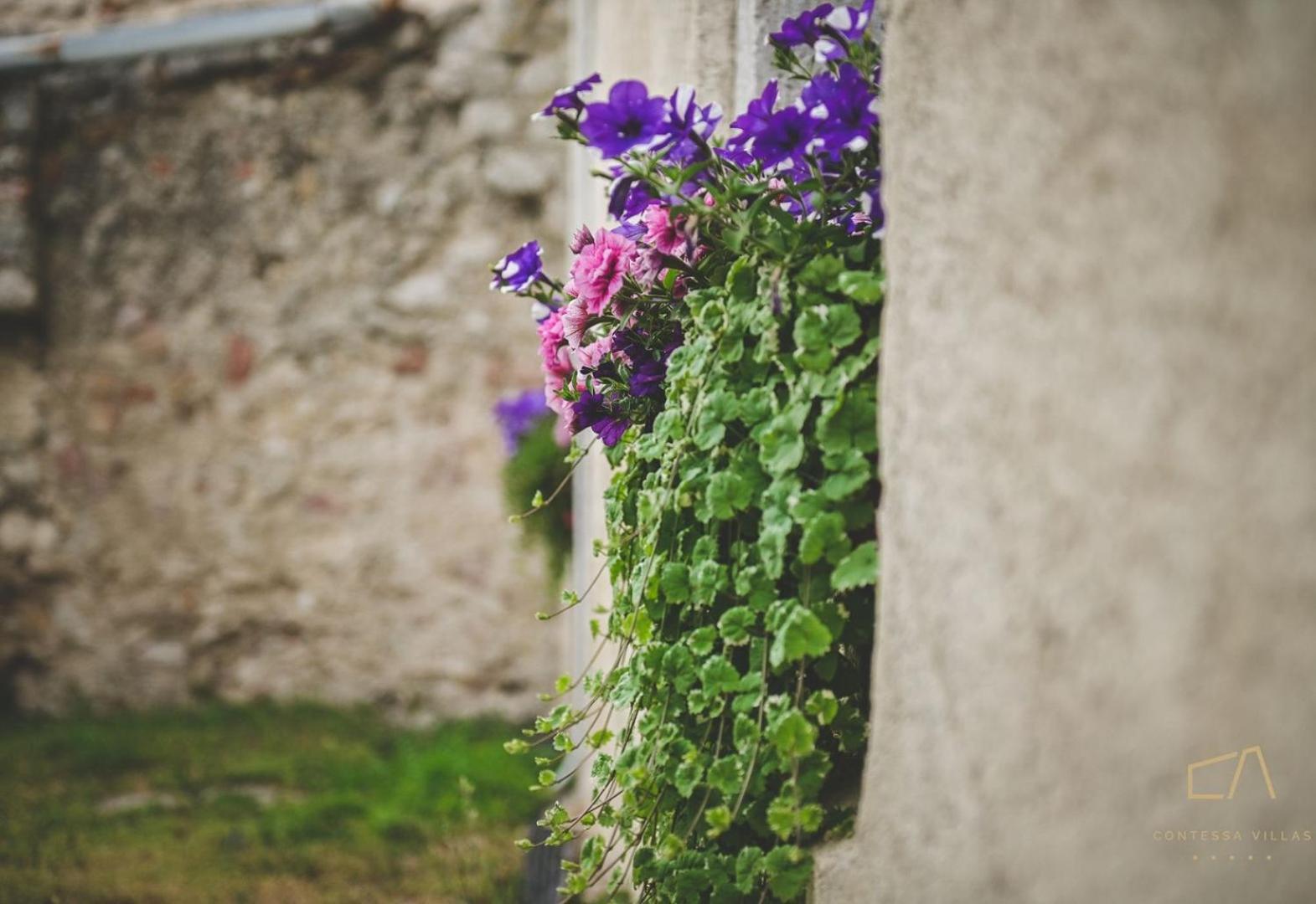 Galija Luxury Suites Krk Town Buitenkant foto